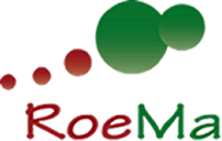 Logo RoeMa Lerncoaching Gelsenkirchen